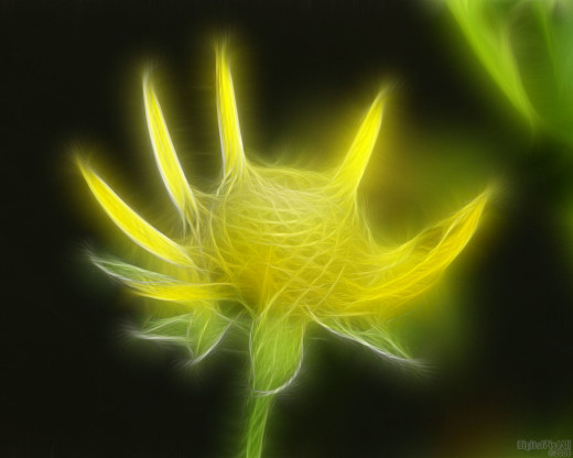 16911 (a): :1280x1024
